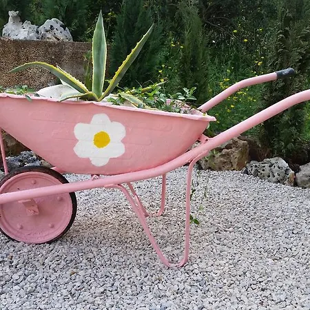 Apartman Adriatic