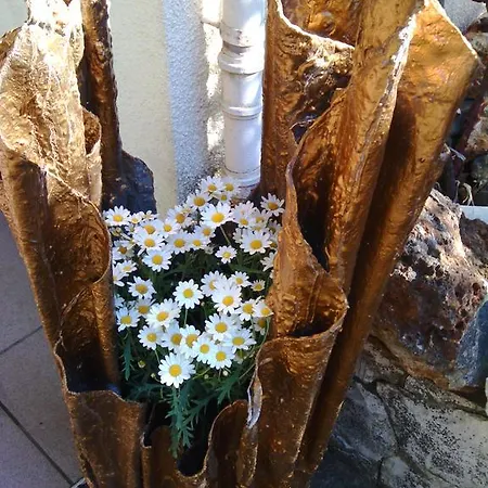 Adriatic Apartman *