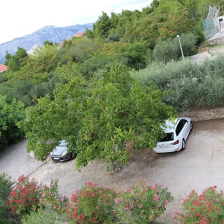Apartman Adriatic *