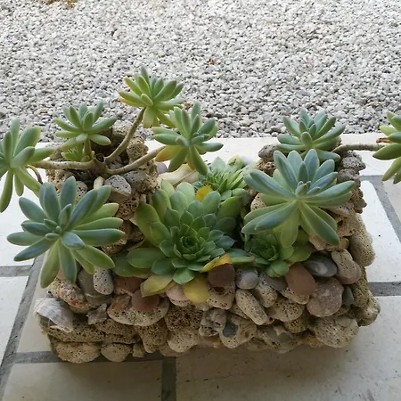 Adriatic Lumbarda
