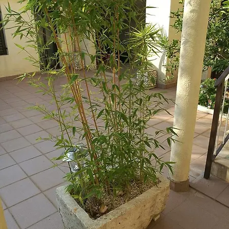 Apartman Adriatic *