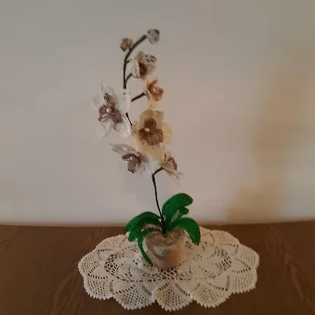 Apartman Adriatic *