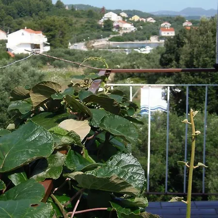 Adriatic Apartment