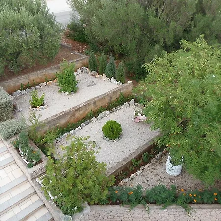 Adriatic Apartment